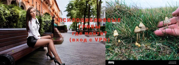 СК Верхний Тагил
