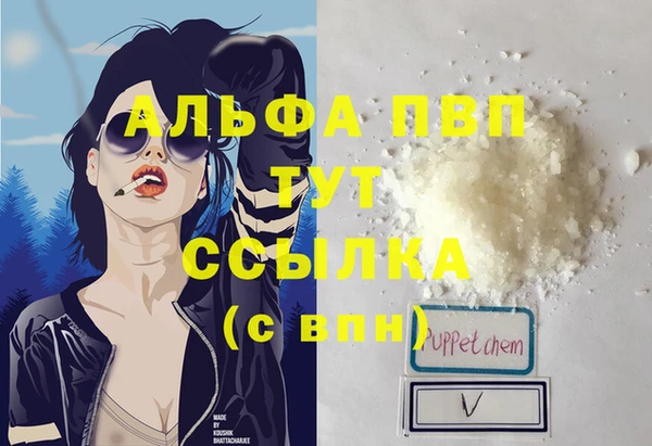 СК Верхний Тагил