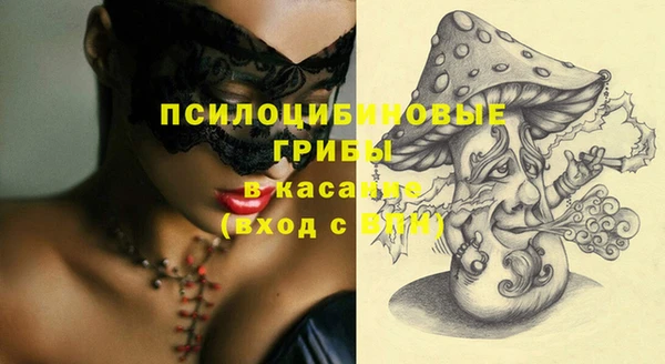 СК Верхний Тагил